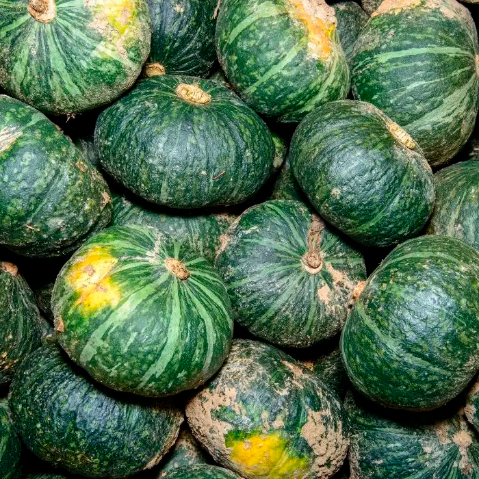 Abobora Cabotiá 5,50€/kg