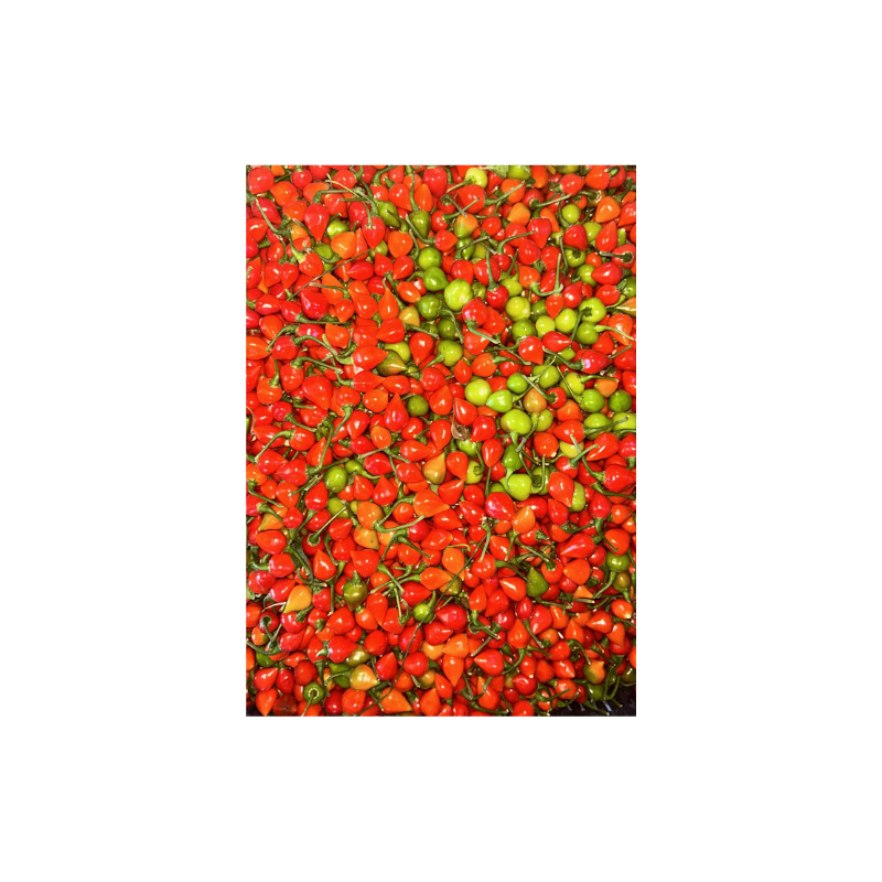 Pimenta Bode Natural