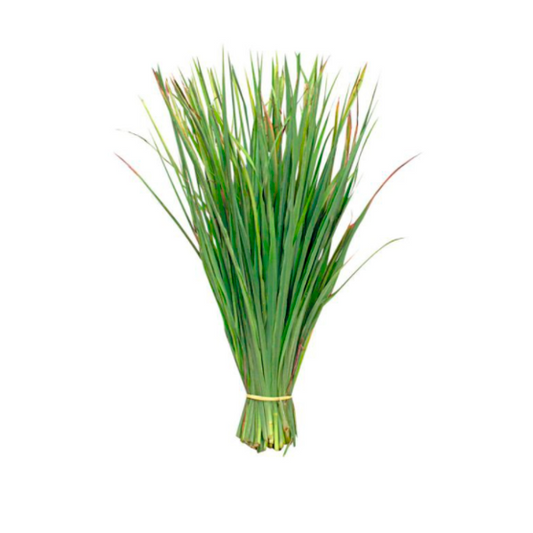 Capim Santo (Manojo)