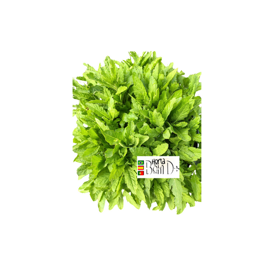 Mastruz Natural  Hojas