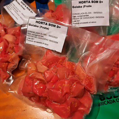 Polpa de Goiaba fruta(300gr.)