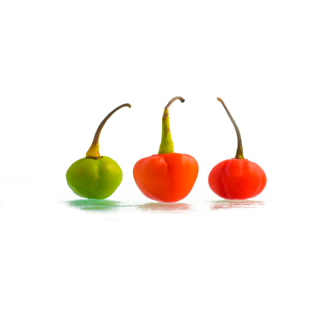 Pimenta Bode natural(500gr.)MIX VERDE/VERMELHA