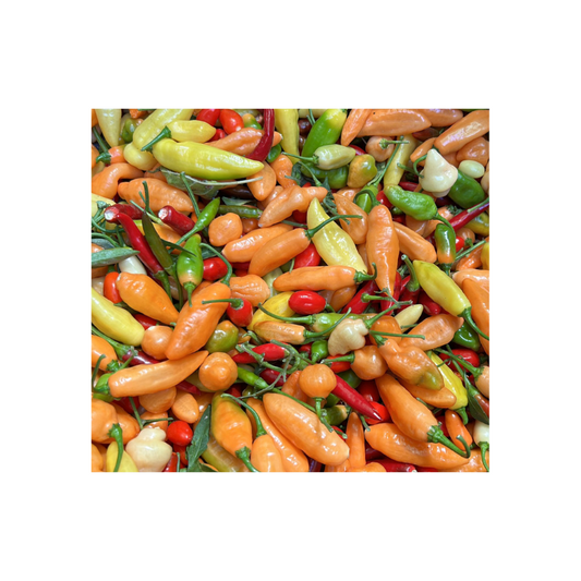 Pimenta Mixta 500gr