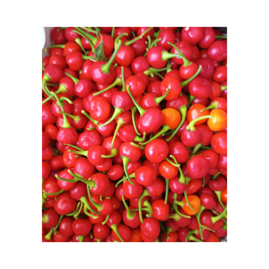 Pimenta Bode natural(500gr.)MIX VERDE/VERMELHA